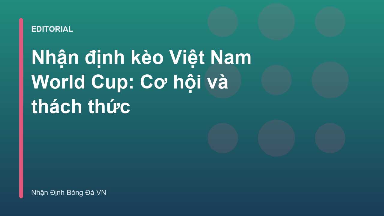 Đội tuyển Việt Nam thi đấu tại vòng loại World Cup